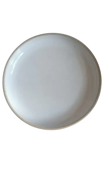 Speckled White- Coupe Plate 23.5 x H:3 cm