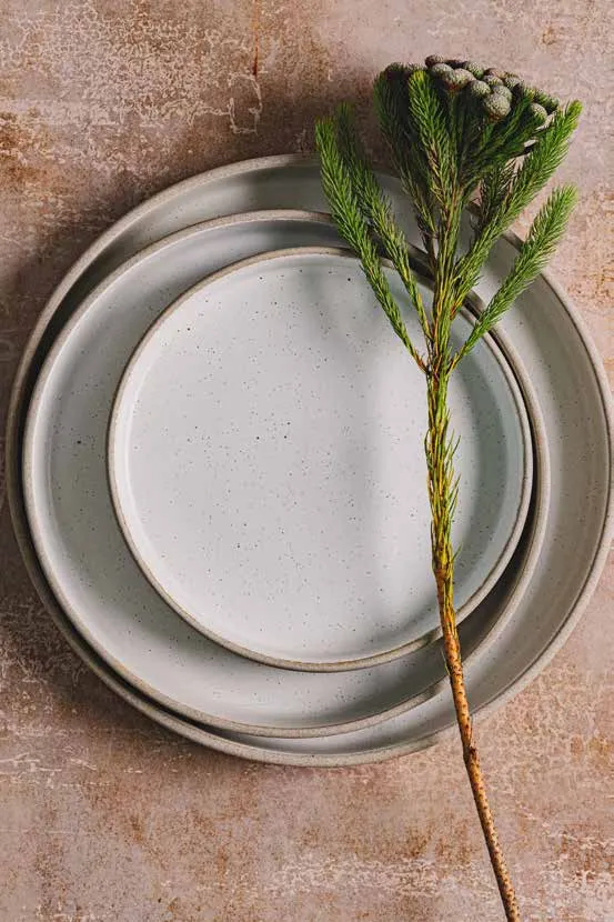 Speckled White- Walled Plate 22.3 cm